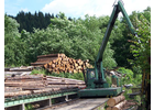 Eigentümer Bilder Schauer Uwe Sägewerk und Holzhandel Werda