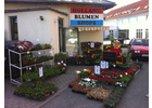 Eigentümer Bilder Holland Blumen Shops Chemnitz