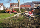 Eigentümer Bilder Garten Green UG (haftungsbeschränkt) & Co. KG Cham