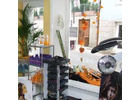 Bildergallerie mk's Haardesign Friseur Bad Windsheim