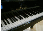 Eigentümer Bilder Klavier Endriss Klavier- und Pianoservice Laaber