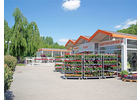 Bildergallerie Kohout's Garten- u. Landschaftsbau GmbH Elstra