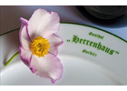 Eigentümer Bilder Gasthof Herrenhaus Gorbitz Dresden