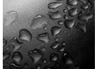 Eigentümer Bilder MISS Autoglas GmbH Chemnitz