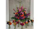 Eigentümer Bilder Blumen Dornröschen GmbH Frankfurt am Main