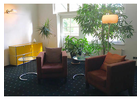 Bildergallerie BUEFFELFISH Coaching & Communications GmbH Dresden