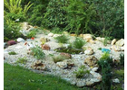 Bildergallerie Service und Garten Landschaftsgärtner Bamberg