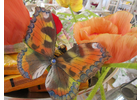 Bildergallerie Dressel Roselinde Wohnaccessoires Rödental
