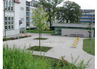 Eigentümer Bilder Landschafts- & Straßenbau GmbH Grüna Straßenbau Chemnitz