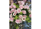 Bildergallerie Blumen schöner schenken Nürnberg