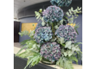 Eigentümer Bilder Blumen Dornröschen GmbH Frankfurt am Main