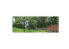 Bildergallerie Natur pur Landschaftsbau Heilsbronn