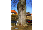 Eigentümer Bilder Jacob Wolf-Dieter Dipl.-Forstwirt Höchberg