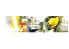 Bildergallerie ZEITrent GmbH - Ein Unternehmen der IW Gruppe Chemnitz