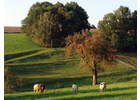 Eigentümer Bilder Stadtverwaltung Lugau Lugau/Erzgeb.