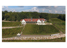 Bildergallerie Bella Vista - Winzerhof Golk Berat Ziberi Diera-Zehren