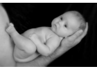 Eigentümer Bilder Foto Schwarz Erich Schwarz Fotostudio Bodenwöhr