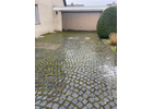 Eigentümer Bilder Rose Adriano Sandro Krefeld