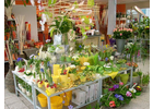 Bildergallerie Chemnitzer Blumenring Einzelhandelsgesellschaft mbH Freiberg