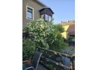 Bildergallerie Edelweiß Fremdenheim Gohrisch