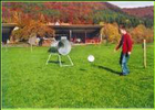 Eigentümer Bilder Gasthaus Zur Flamme Gaststätte Immendingen