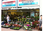 Bildergallerie Holland Blumen Shops Chemnitz