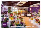 Bildergallerie Wappler Blumenhaus Zwickau