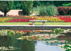 Bildergallerie Garten Green UG (haftungsbeschränkt) & Co. KG Cham