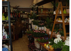 Eigentümer Bilder Blumen Bremkens Inh. Stefanie Wirtz e.K. Düsseldorf