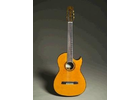 Bildergallerie Laszlo Ungvary Gitarrenbau Nürnberg