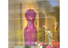 Eigentümer Bilder Schäfer Optik GmbH Dresden