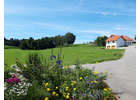 Bildergallerie Ferienhof Scharl Bockhorn