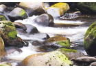 Eigentümer Bilder Naturschule Dietz Sulzthal