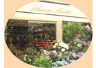 Bildergallerie A+A Blumen Meister GmbH Frankfurt am Main