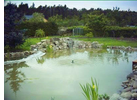 Eigentümer Bilder Zimmermann Werner Schwimm- u. Gartenteiche Bobritzsch-Hilbersdorf