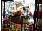 Eigentümer Bilder Blumen Bremkens Inh. Stefanie Wirtz e.K. Düsseldorf
