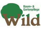 Bildergallerie Wild Thomas Baumpflege Büchenbach