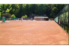 Bildergallerie 1. Tennis-Club Pirna e.V. Pirna