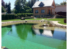Bildergallerie Wirth & Wiener GmbH Gartenlandschaftsbau Chemnitz