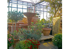Bildergallerie Blumen Graf Blumenladen Zentrale Nürnberg