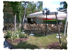 Eigentümer Bilder La Gondola Ristorante Pizzeria Regensburg