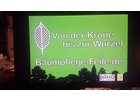 Bildergallerie Feile Stefan Baumpflege Bad Gottleuba-Berggießhübel