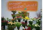 Bildergallerie Blumentöpfchen Dorothea Golden & Sylwia Ciolka GbR Kronach