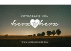 Bildergallerie Nina Popp und Matthias Popp GbR Herz & Herz Dresden