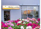 Eigentümer Bilder Blumenpavillon Miller Gärtnerei Neustadt in Sachsen