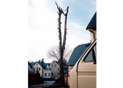 Eigentümer Bilder Tobias Bach u. Stefan Bach GbR Drebach