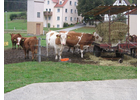 Eigentümer Bilder Schwab Wilhelm Rohr