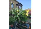 Eigentümer Bilder Edelweiß Fremdenheim Gohrisch