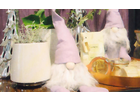 Eigentümer Bilder Tausendschön Blumenfachgeschäft Treuchtlingen