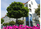 Eigentümer Bilder Wohnungsverwaltung & Bau GmbH Löbau Löbau